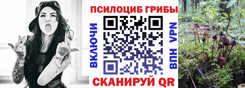 Псилоцибиновые грибы прущие грибы  Полярный 