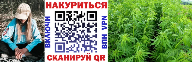 Бошки Шишки план  это какой сайт  Полярный 